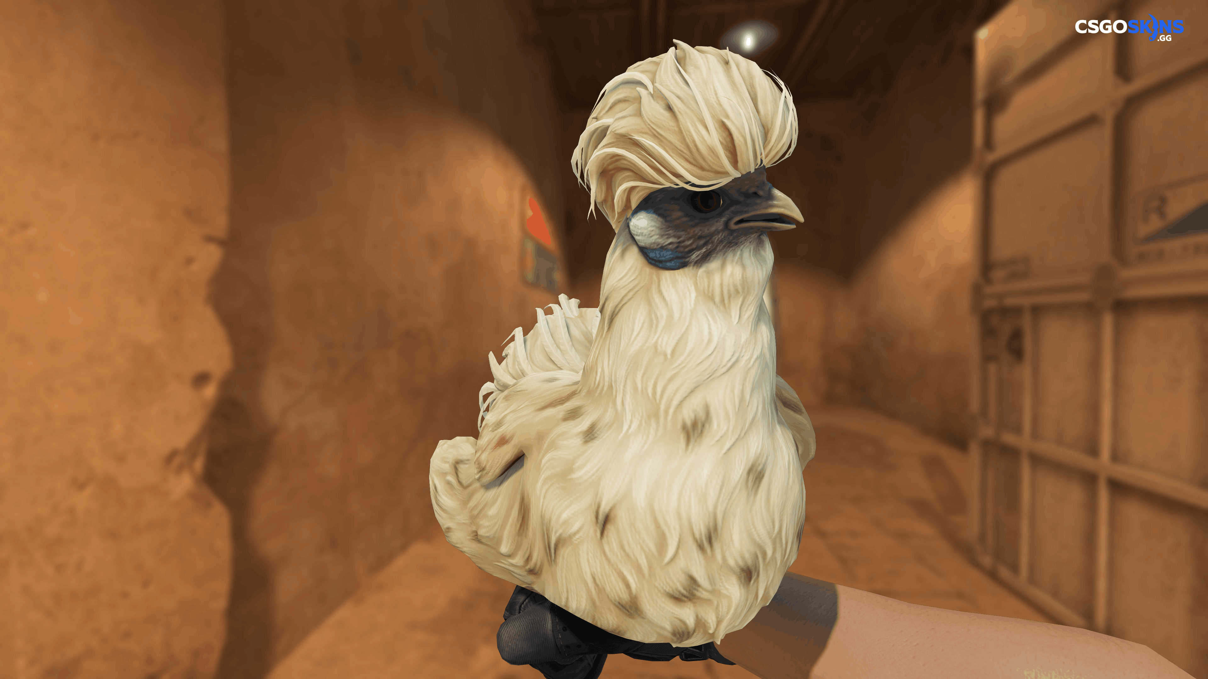 Pet Chicken | Silkie (Leopard) Artwork