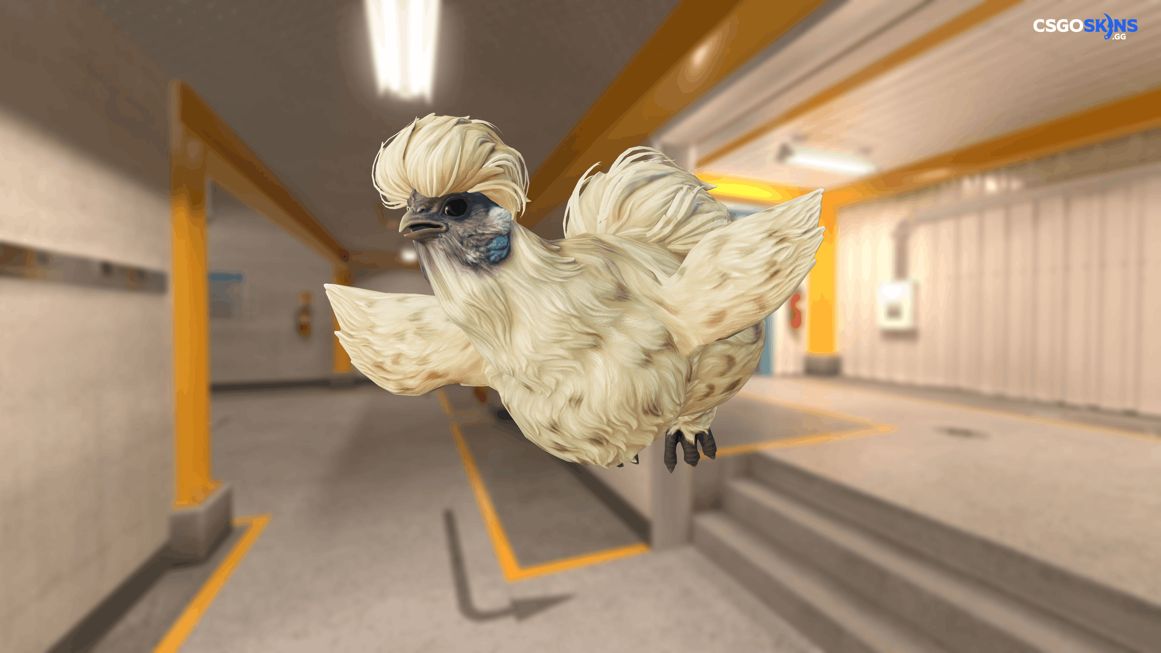 Pet Chicken | Silkie (Leopard) Artwork