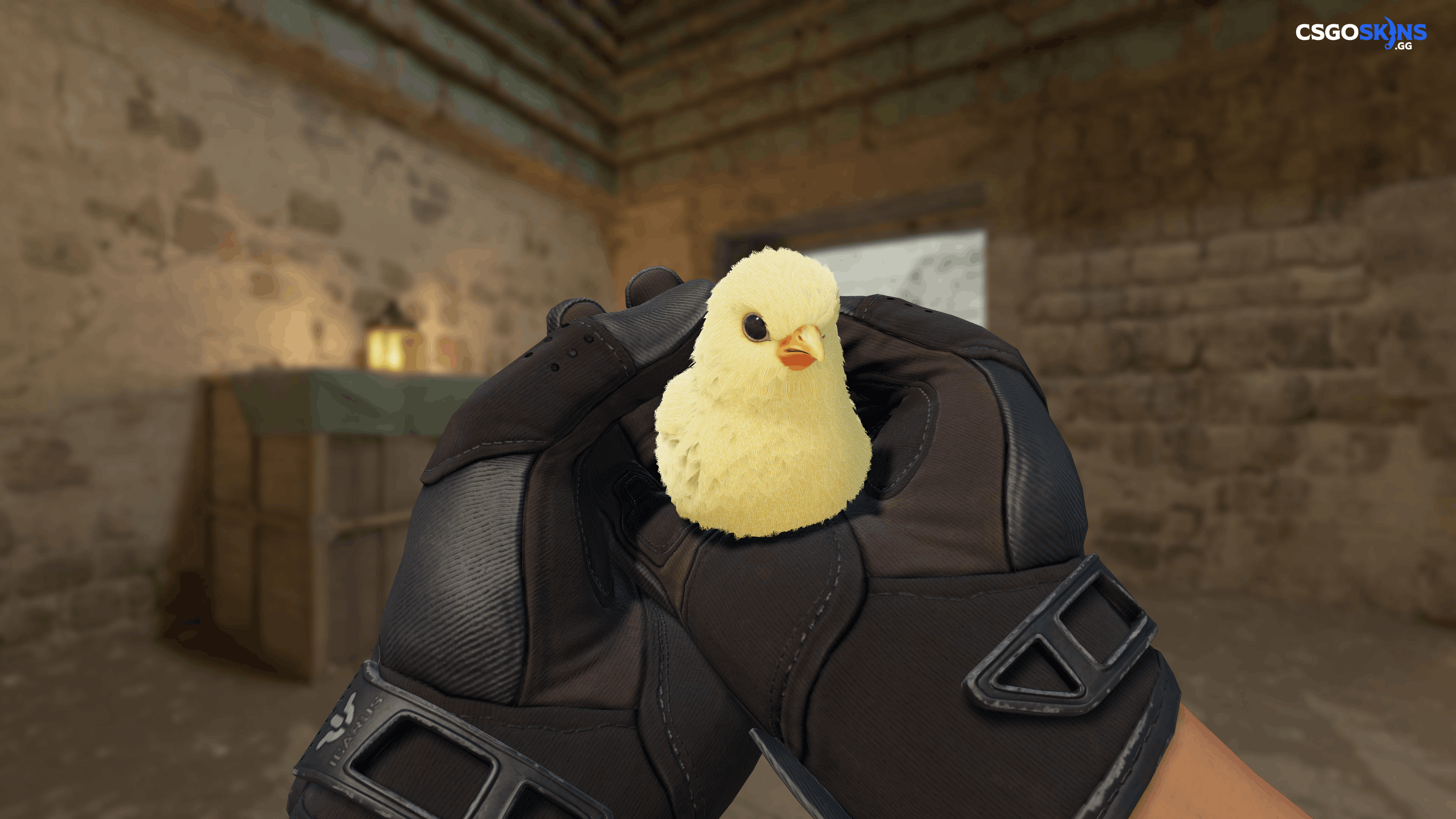 Pet Chick Artwork