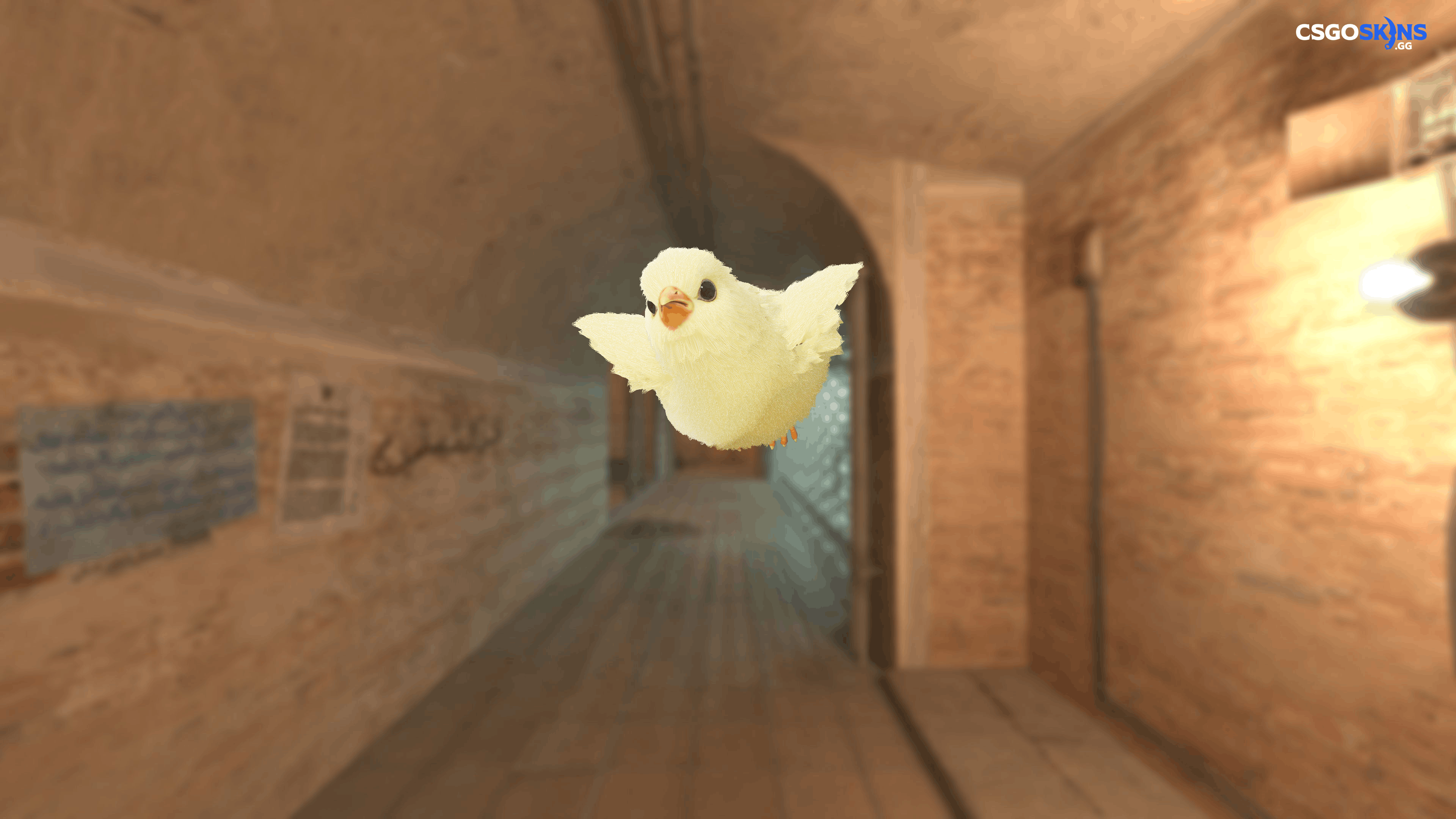 Pet Chick Artwork