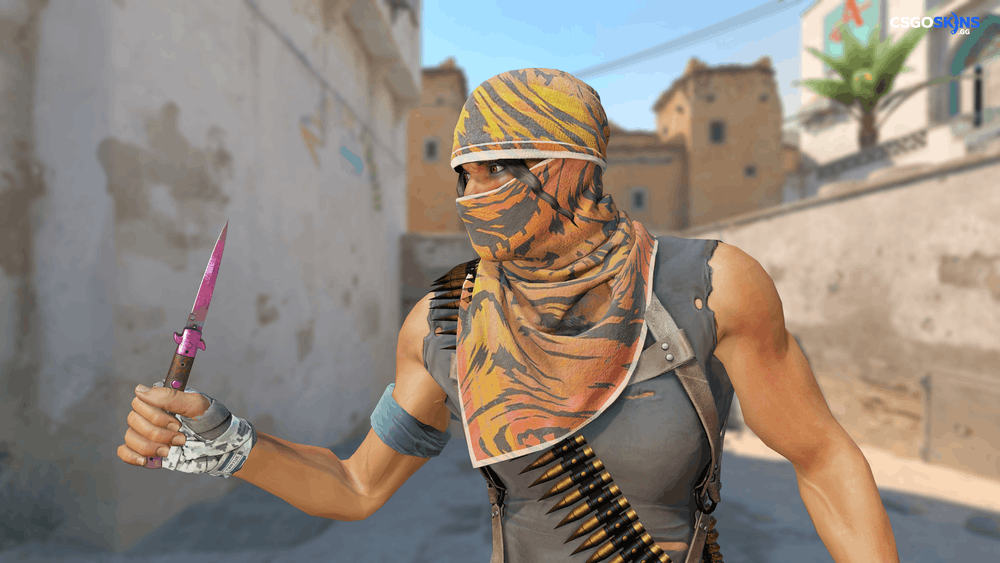★ Stiletto Knife | Doppler Phase 2 Artwork