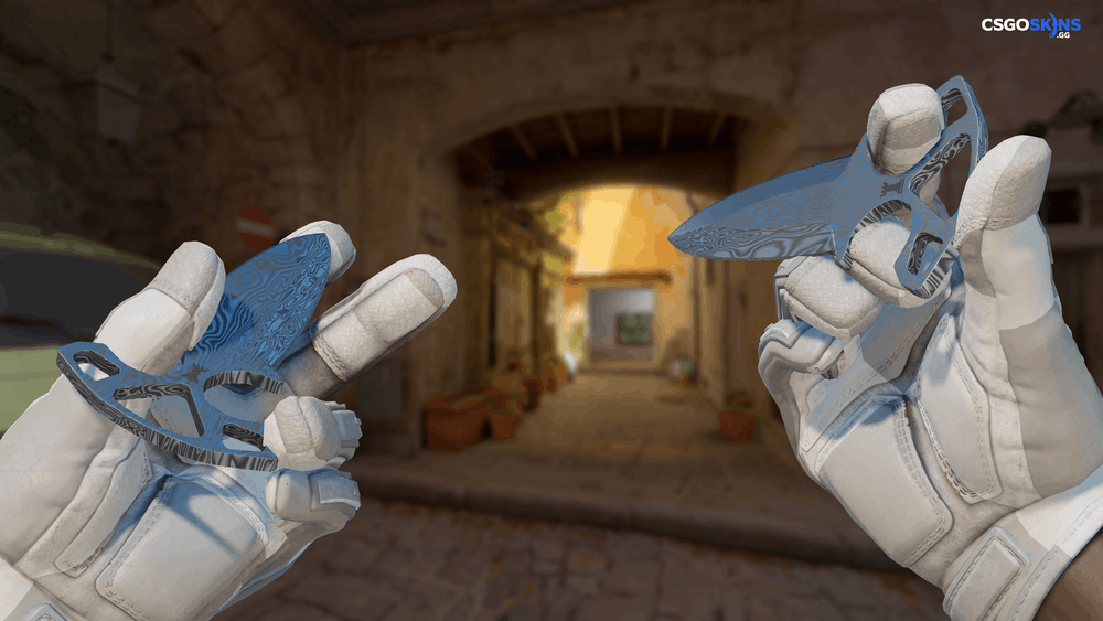 ★ Shadow Daggers | Damascus Steel Artwork
