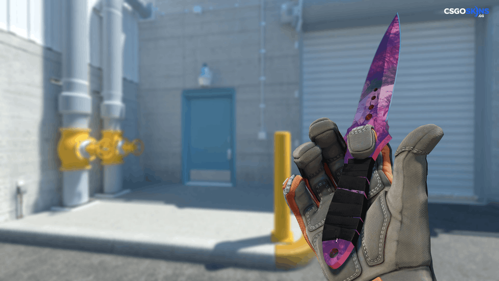 ★ Skeleton Knife | Doppler Phase 2 Artwork