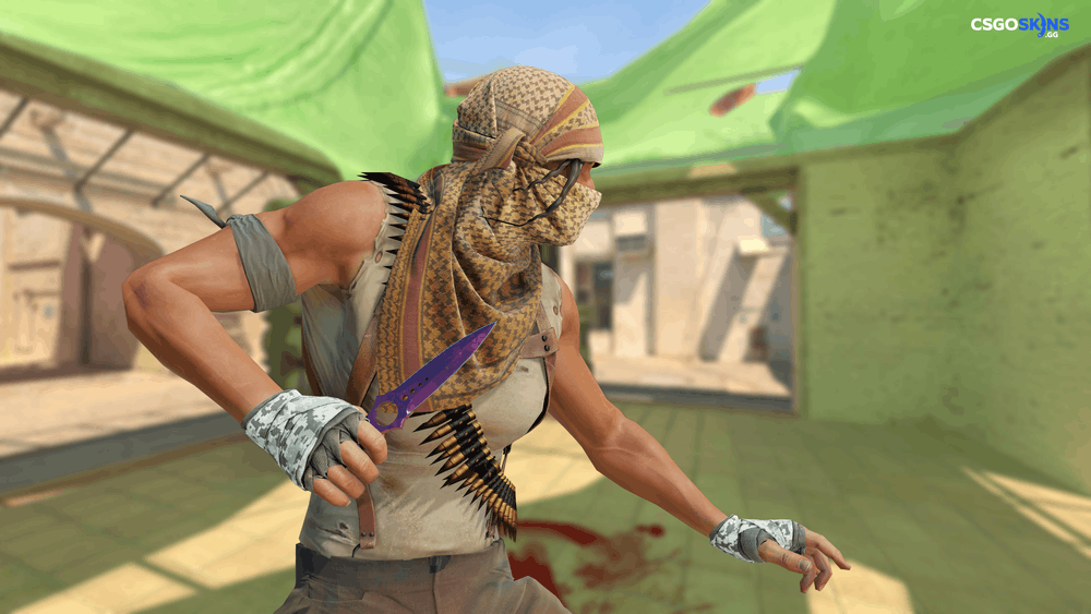 ★ Skeleton Knife | Doppler Phase 2 Artwork