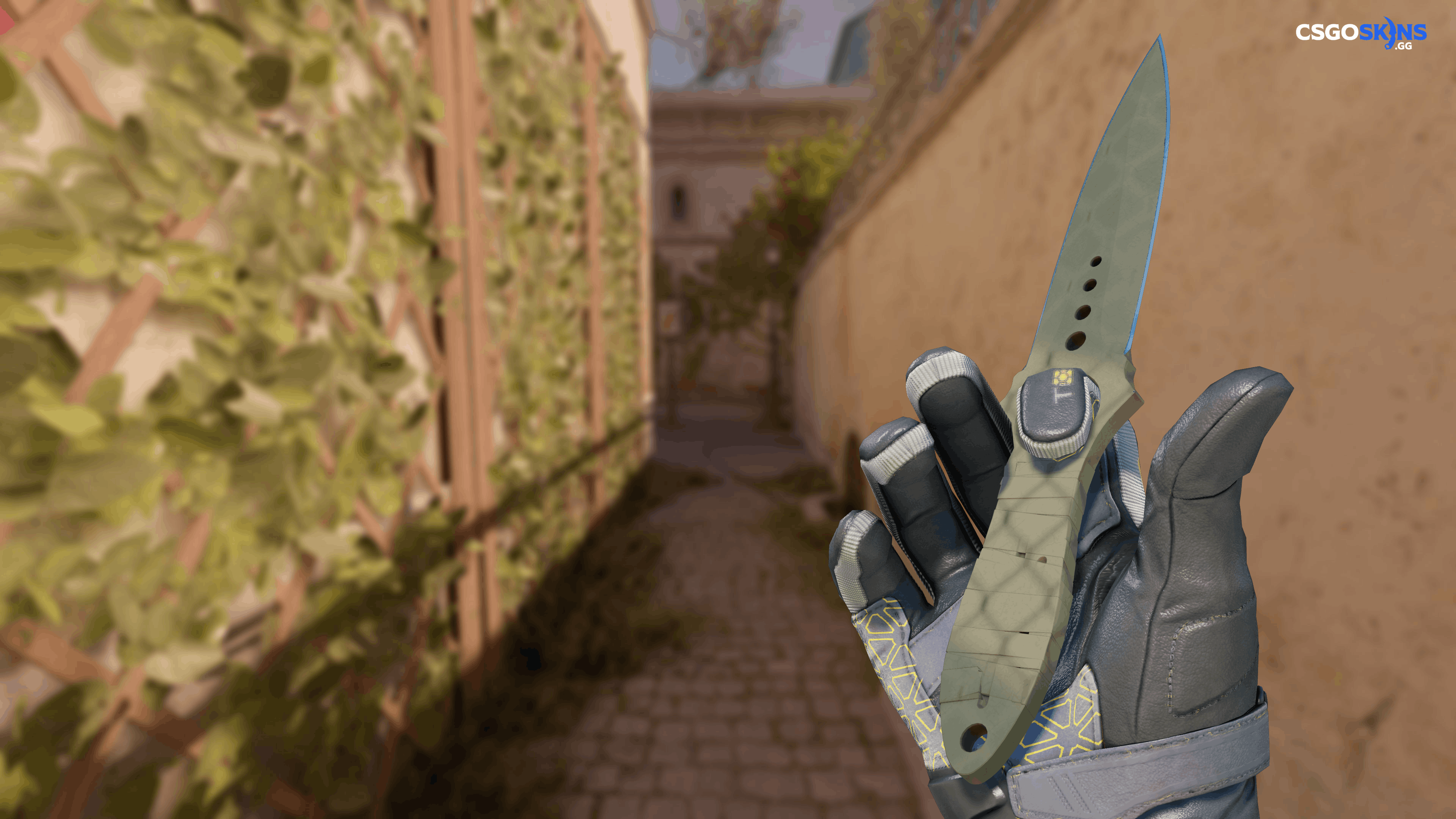 ★ Skeleton Knife | Safari Mesh Artwork