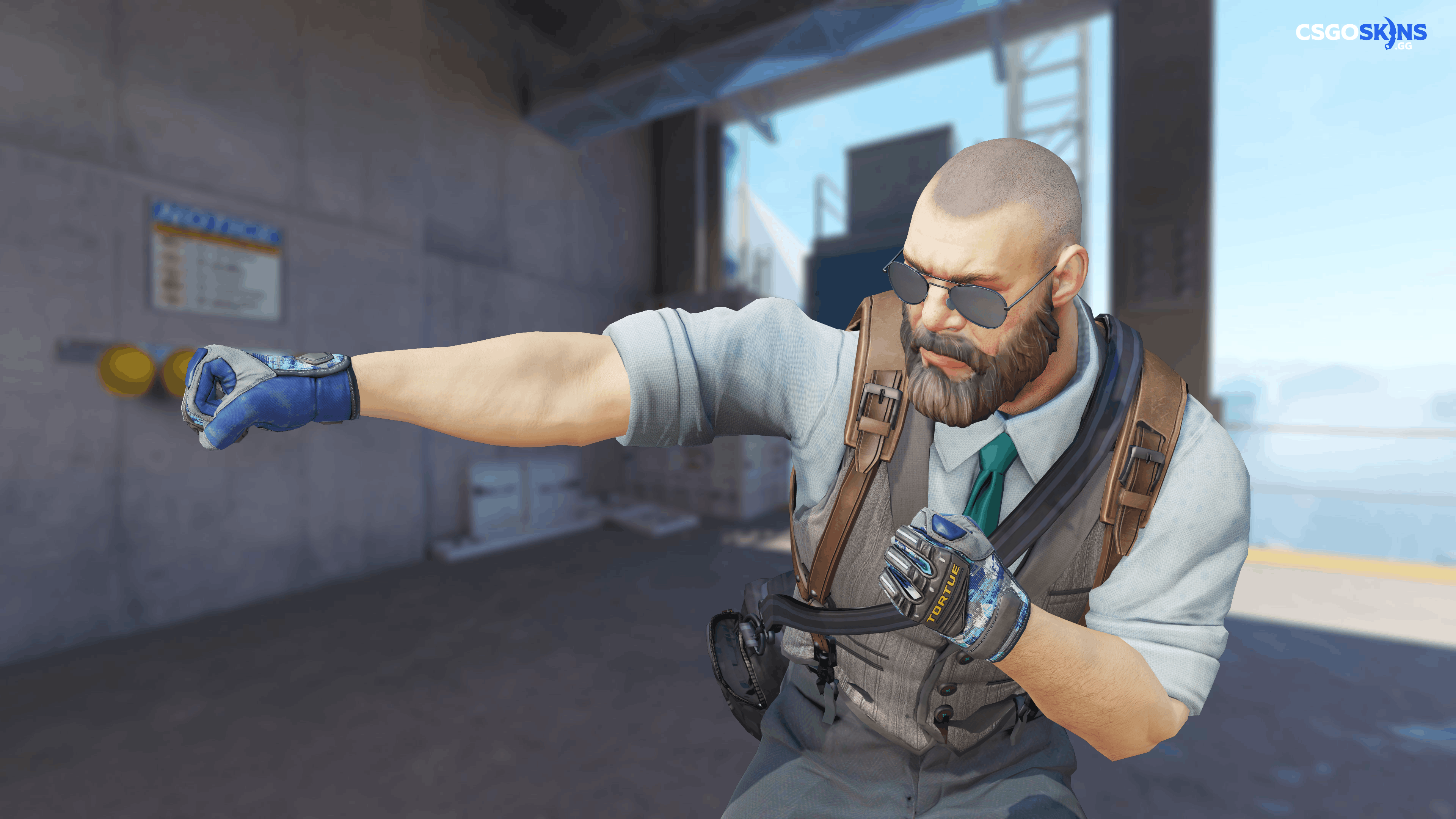 ★ Specialist Gloves | Mogul Artwork