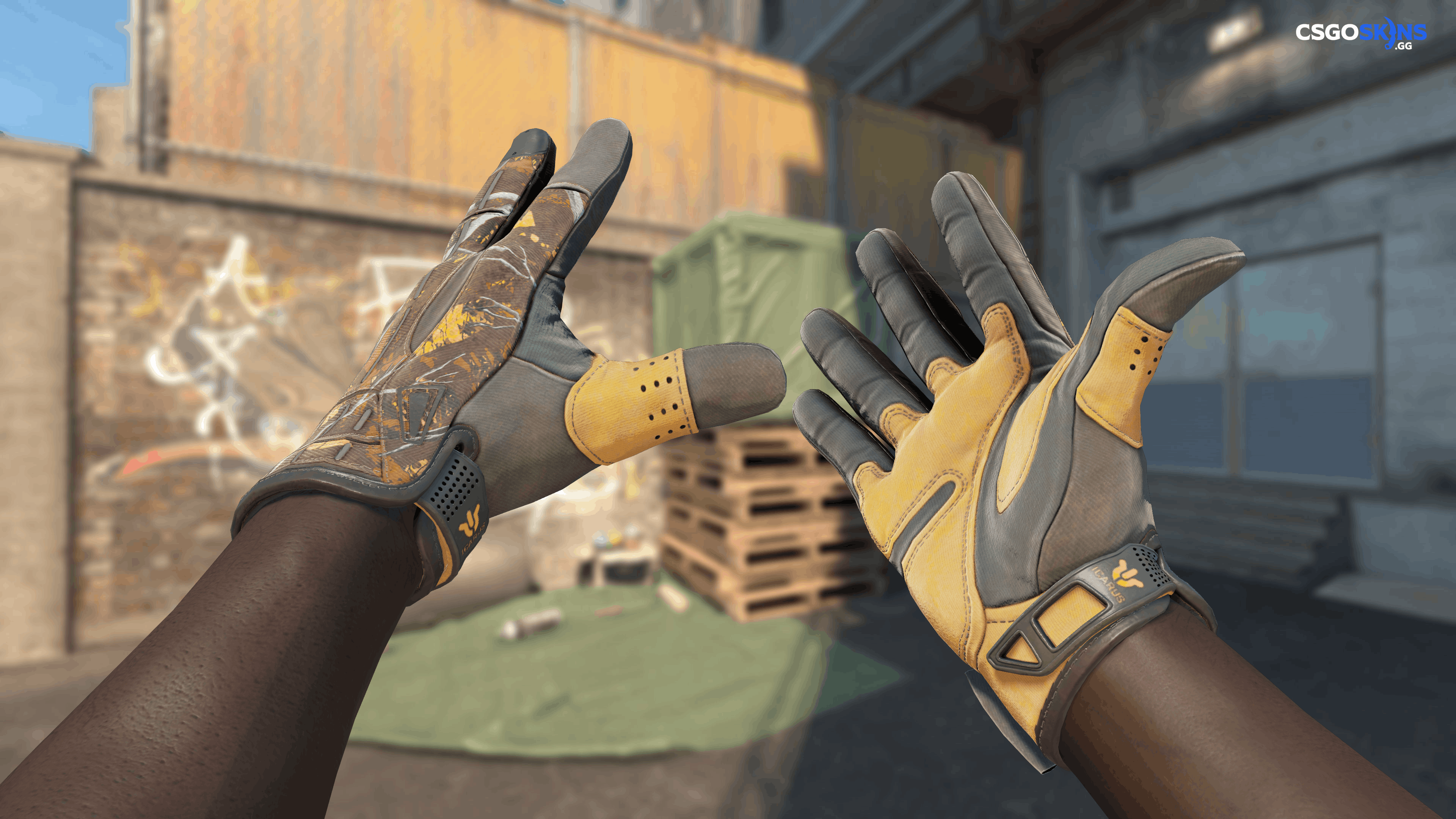 ★ Sport Gloves | Big Game Artwork
