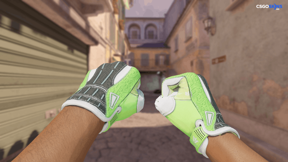 ★ Sport Gloves | Hedge Maze Artwork