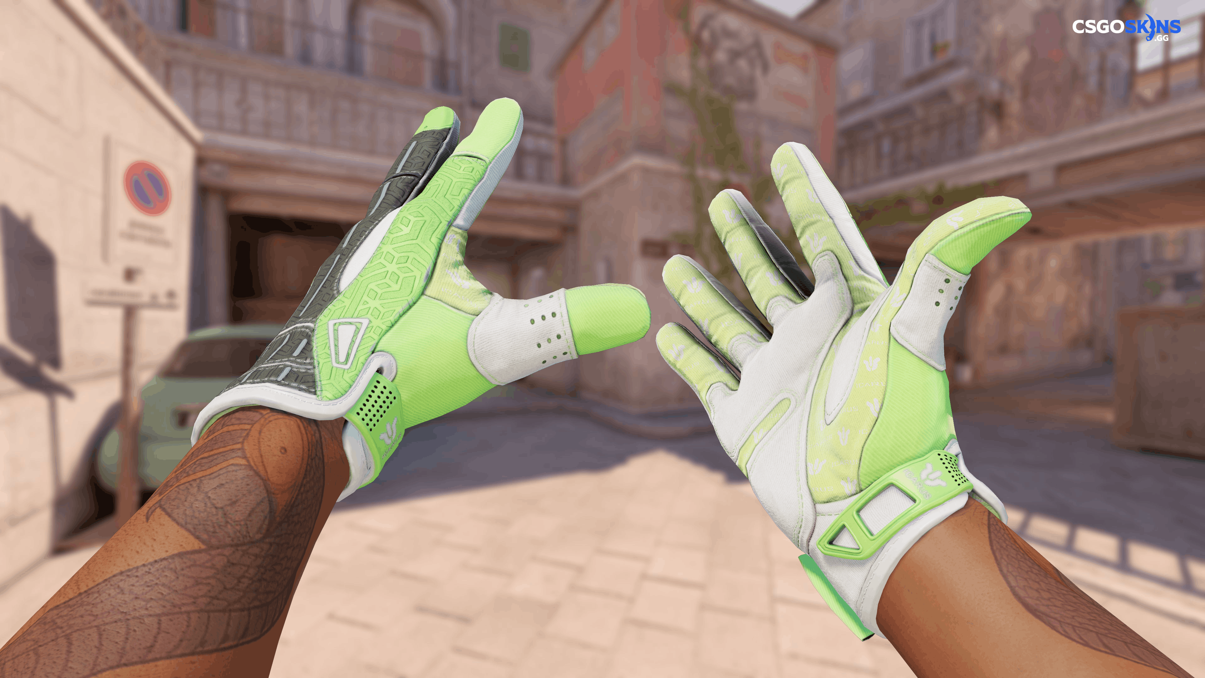 ★ Sport Gloves | Hedge Maze Artwork