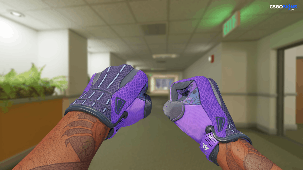 ★ Sport Gloves | Pandora's Box Artwork