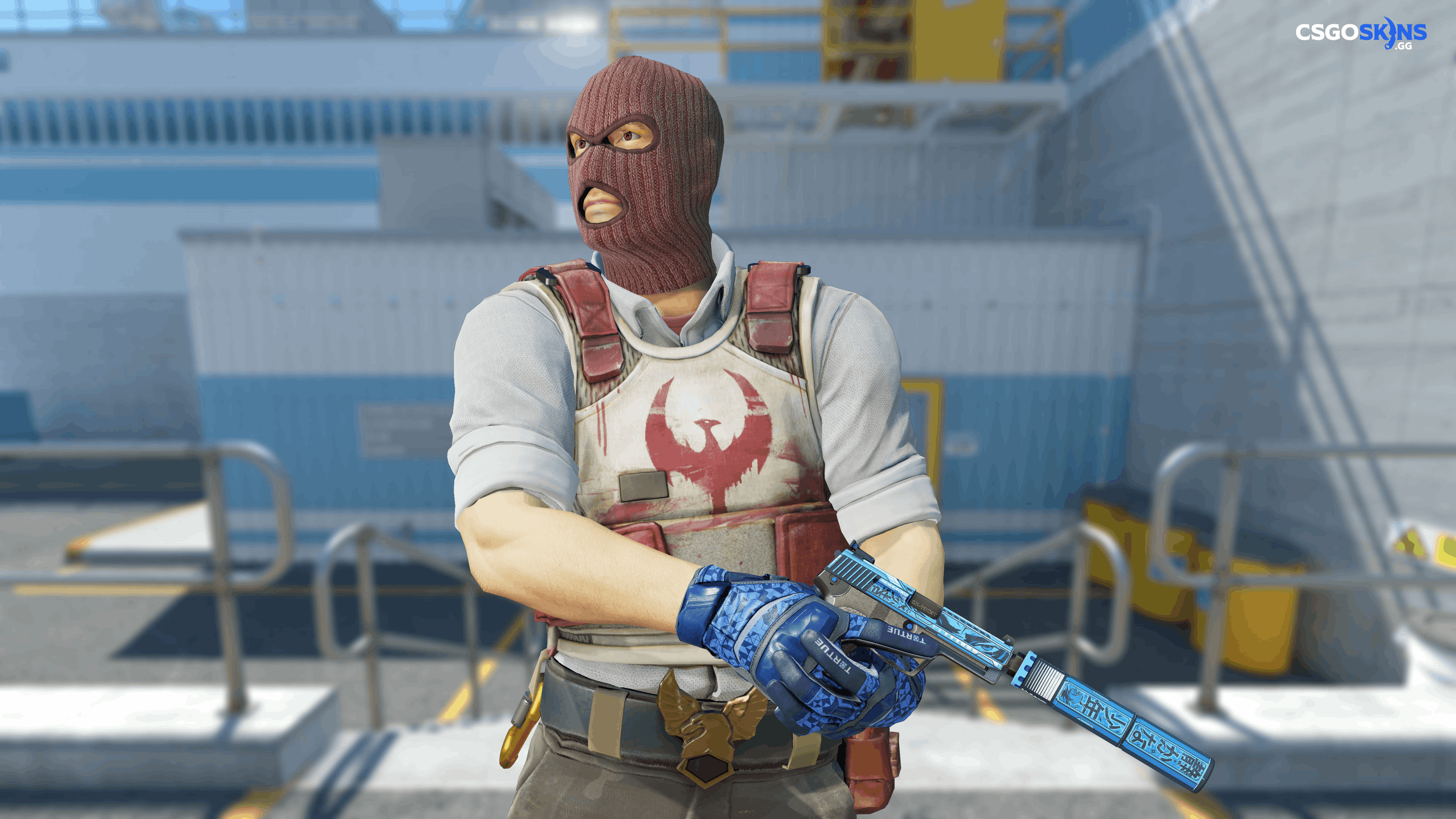 USP-S | Silent Shot Artwork