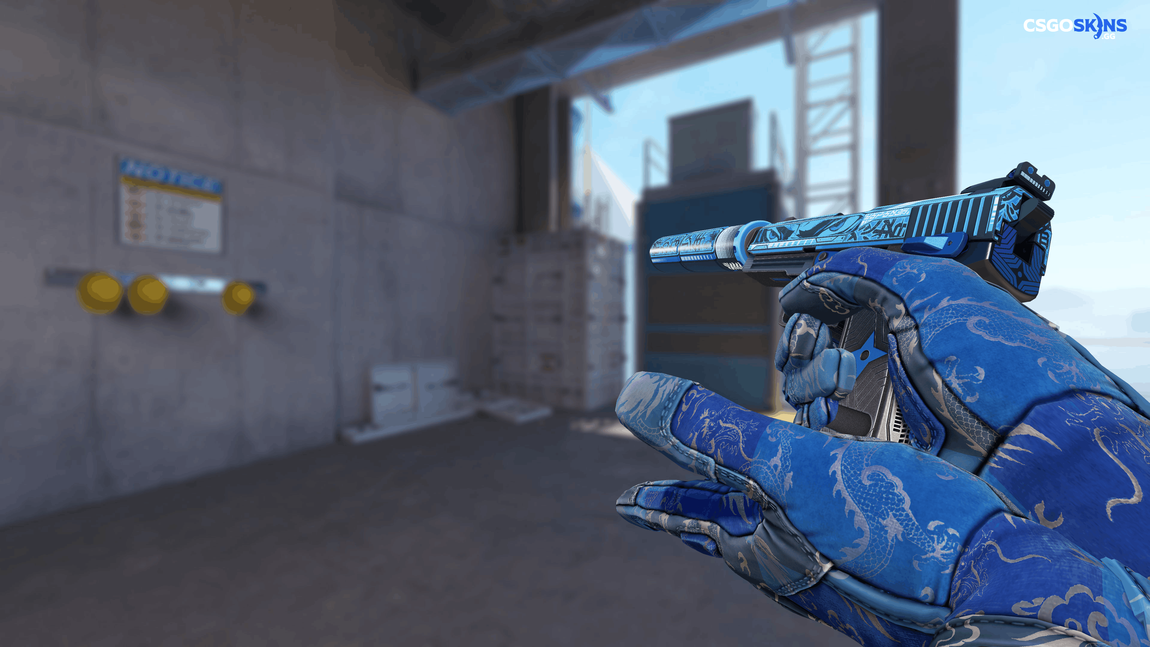 USP-S | Silent Shot Artwork