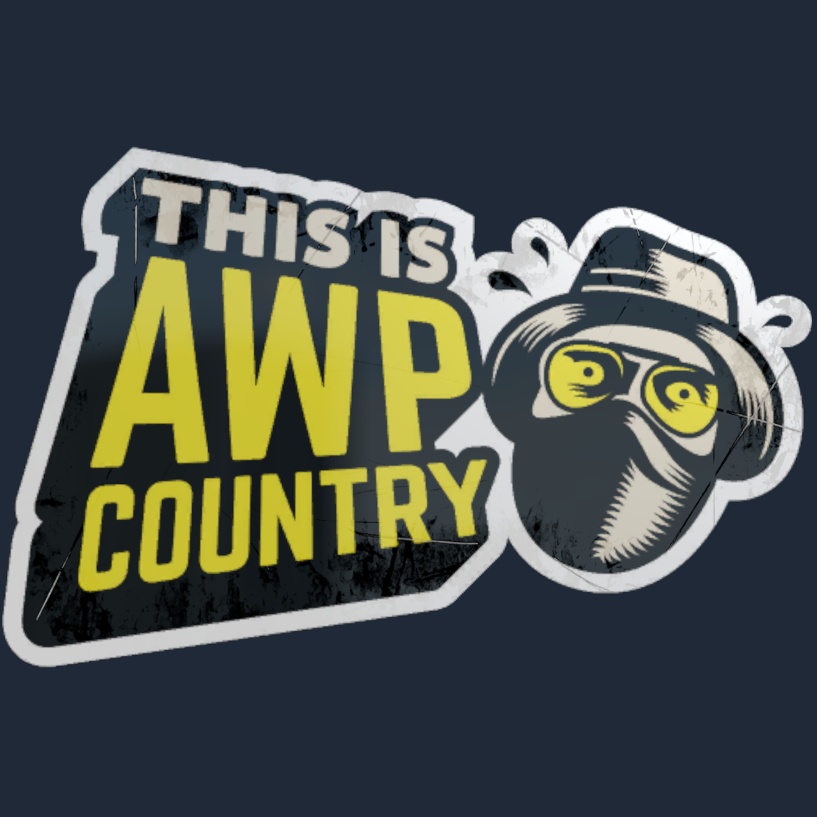 Sticker | Awp Country Screenshot