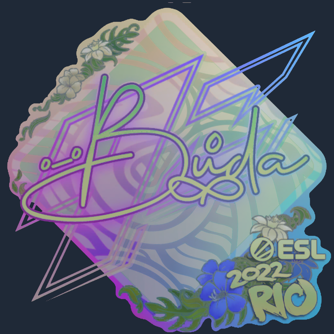 Sticker | BUDA (Holo) | Rio 2022 Screenshot