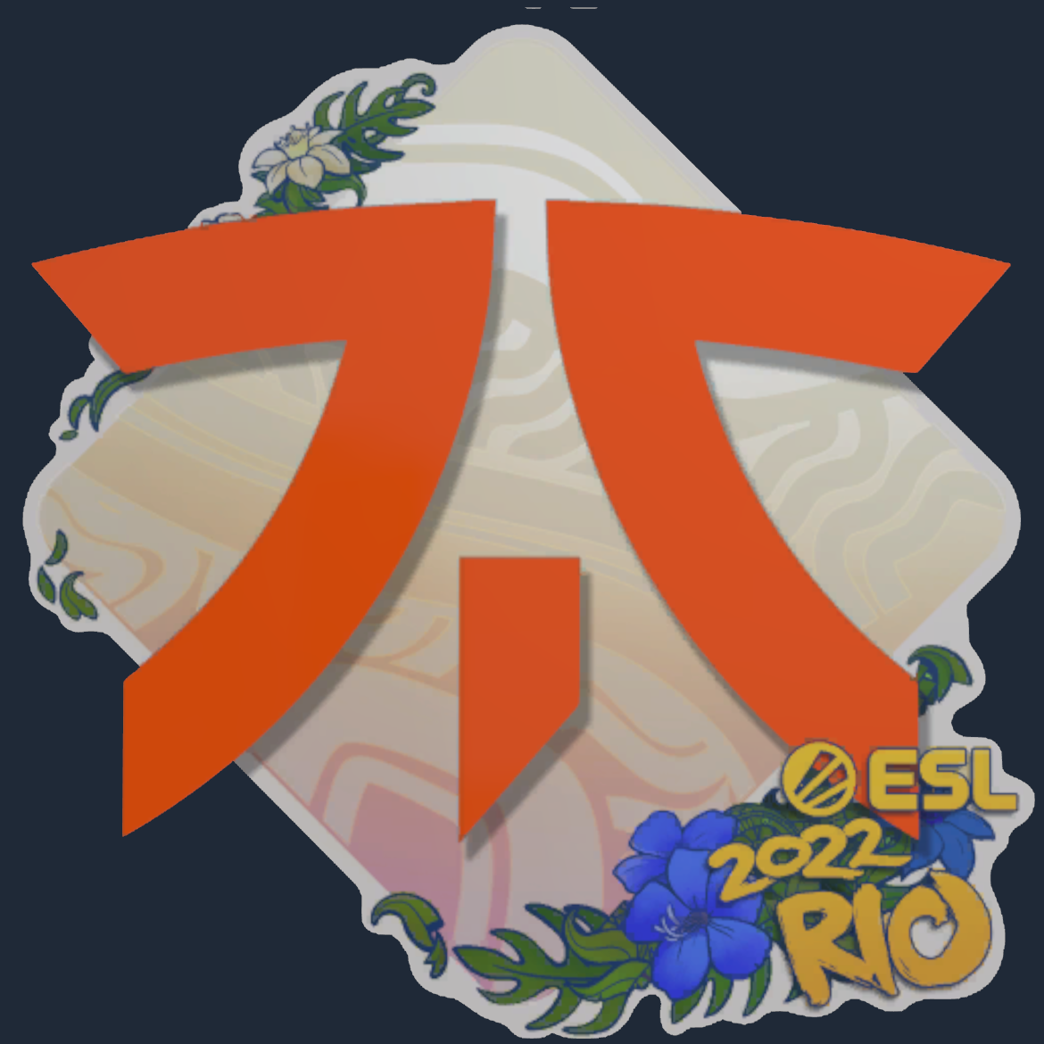 Sticker | Fnatic | Rio 2022 Screenshot