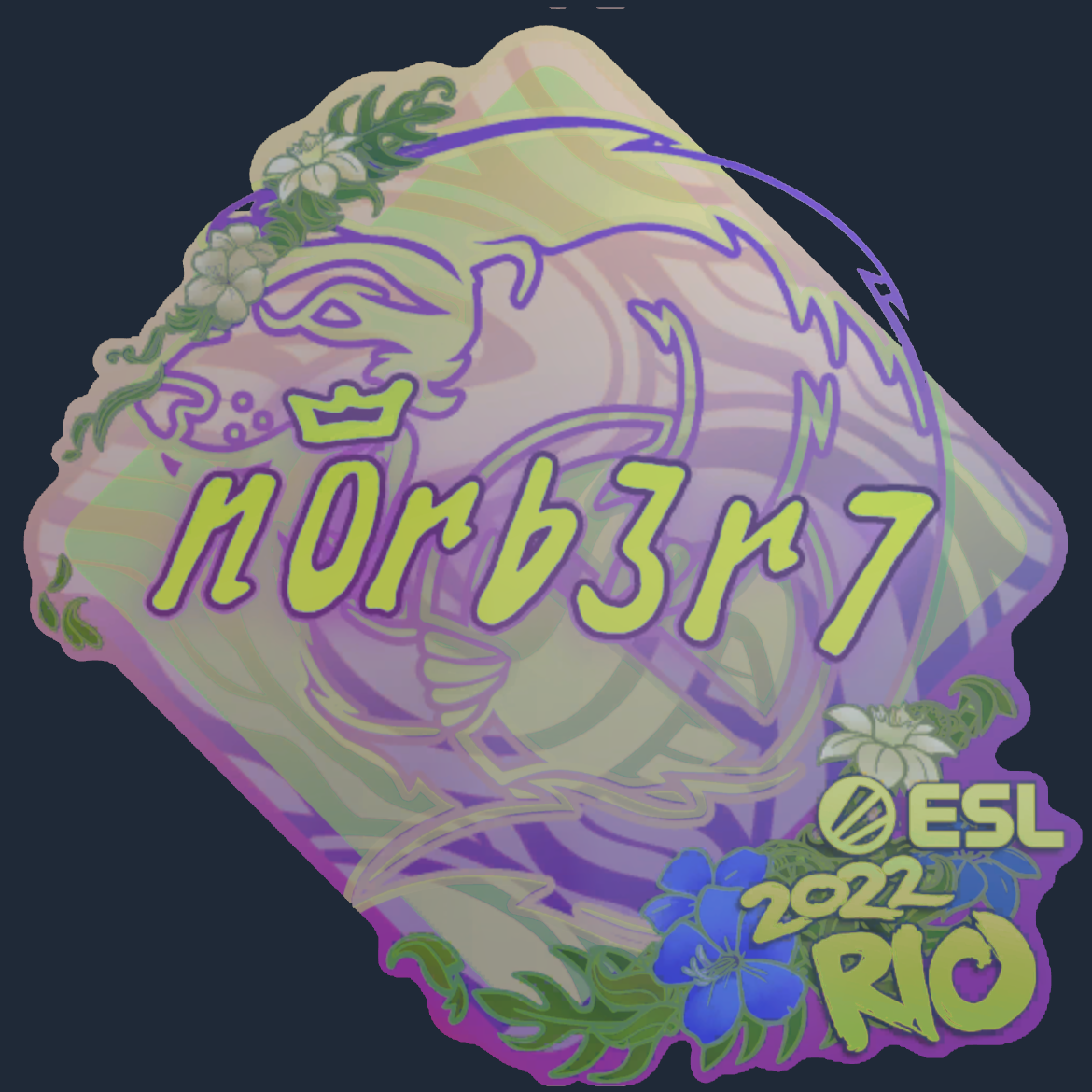 Sticker | n0rb3r7 (Holo) | Rio 2022 Screenshot