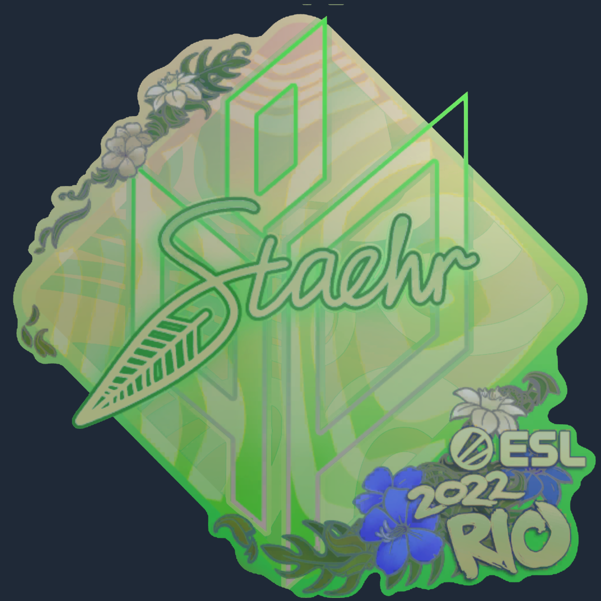 Sticker | Staehr (Holo) | Rio 2022 Screenshot