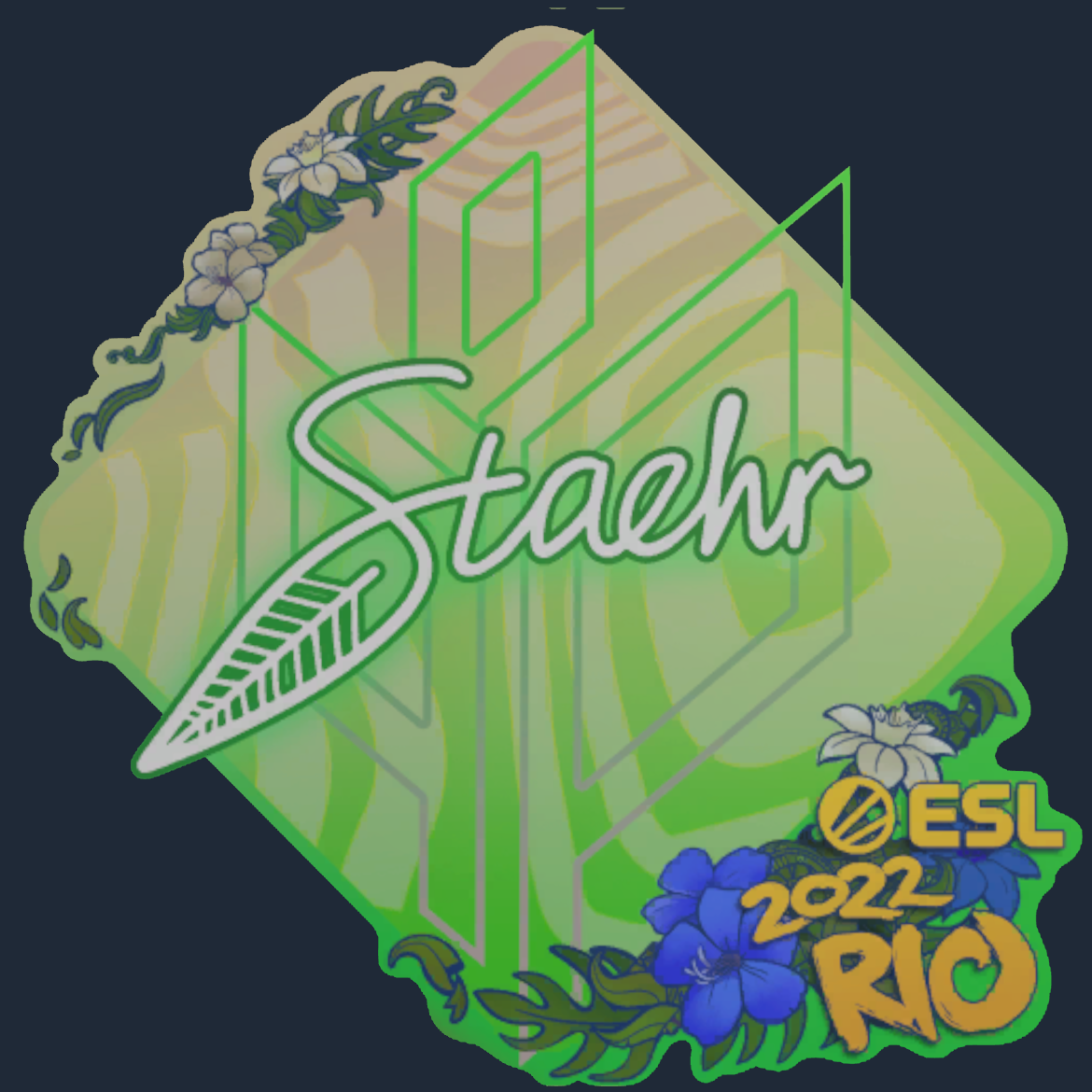 Sticker | Staehr | Rio 2022 Screenshot