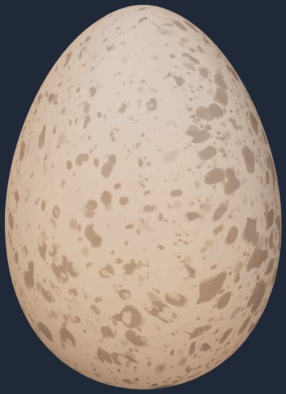 Chicken Egg Image