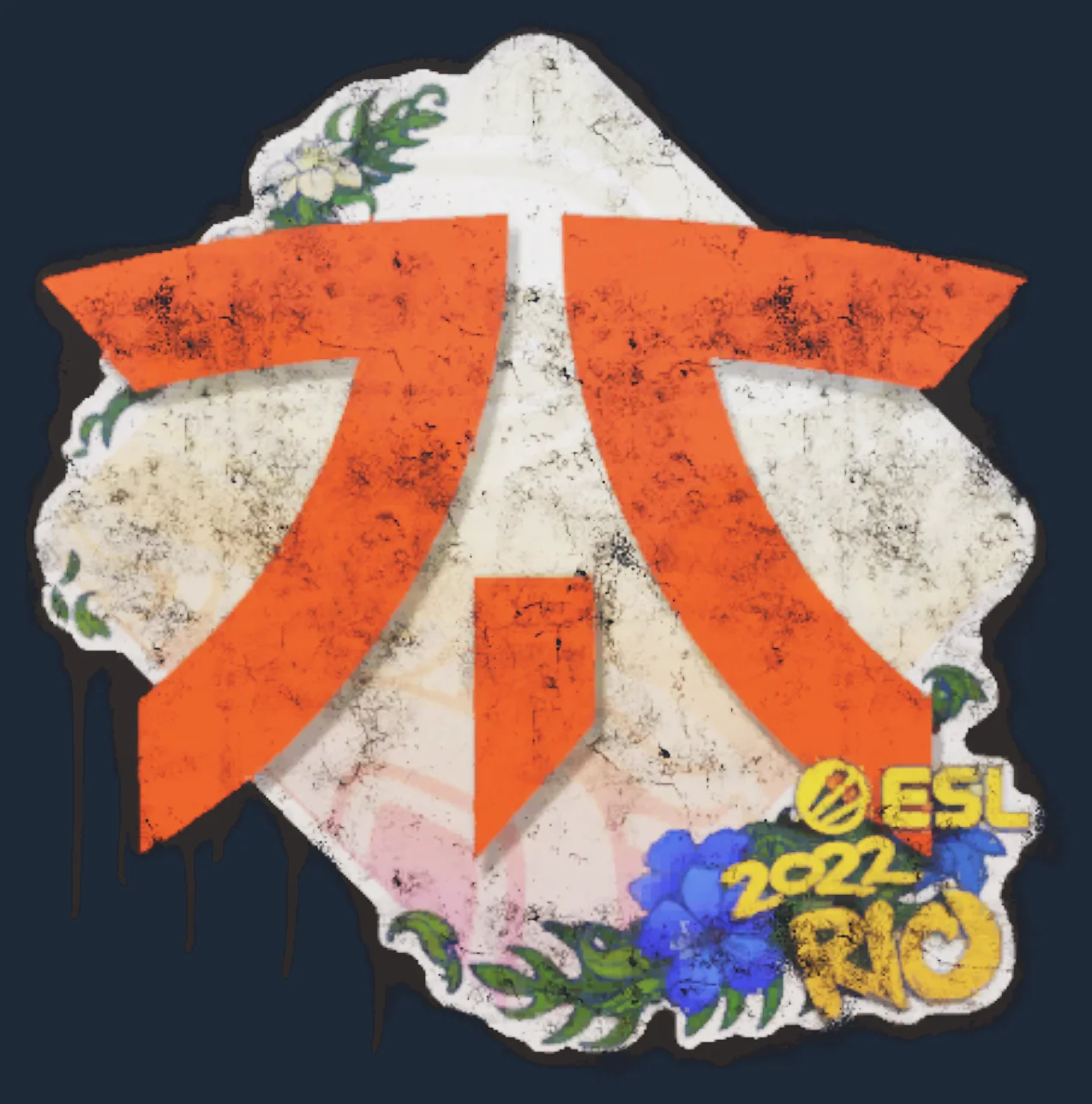 Sealed Graffiti | Fnatic | Rio 2022 Image