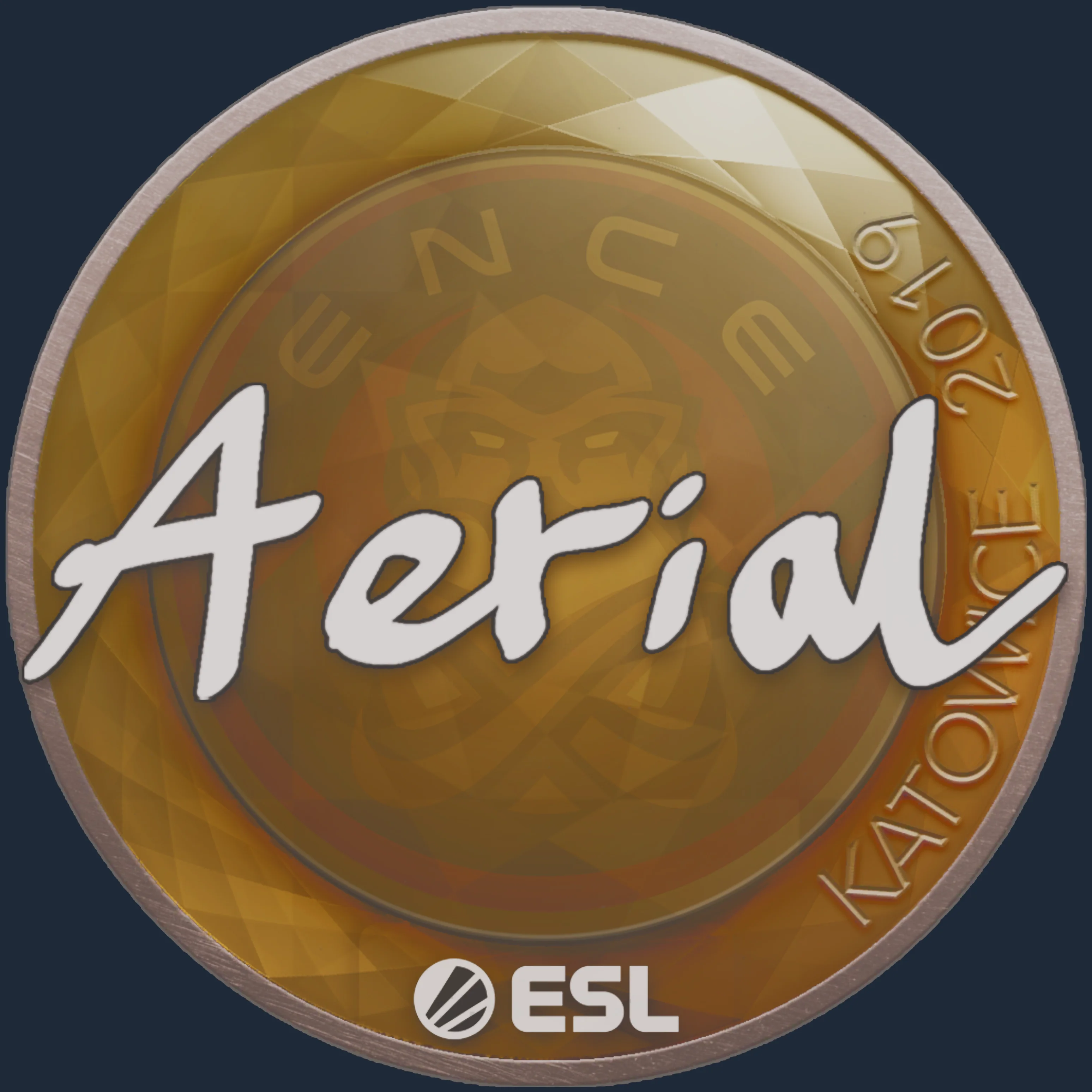 Sticker | Aerial | Katowice 2019 Image