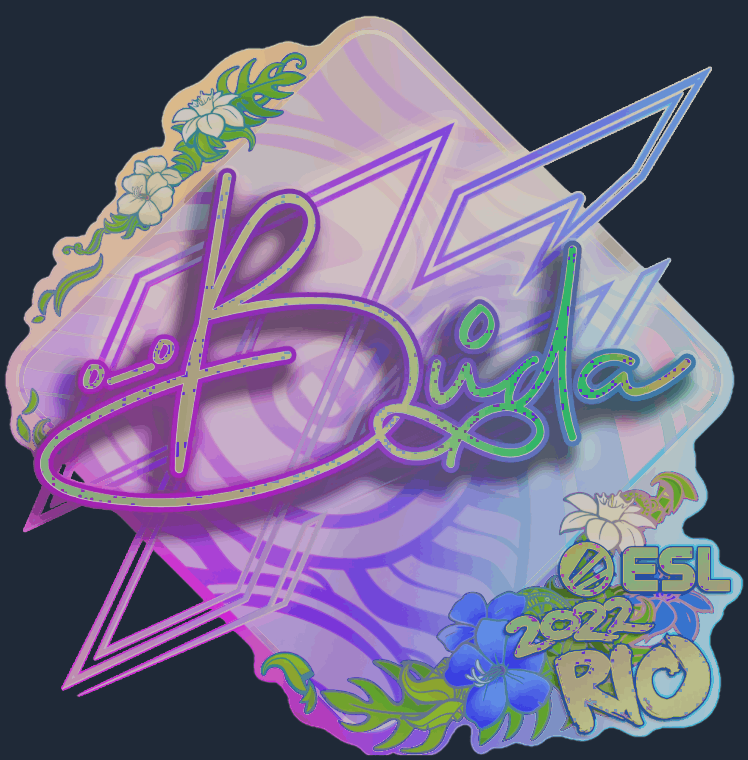 Sticker | BUDA (Holo) | Rio 2022 Image