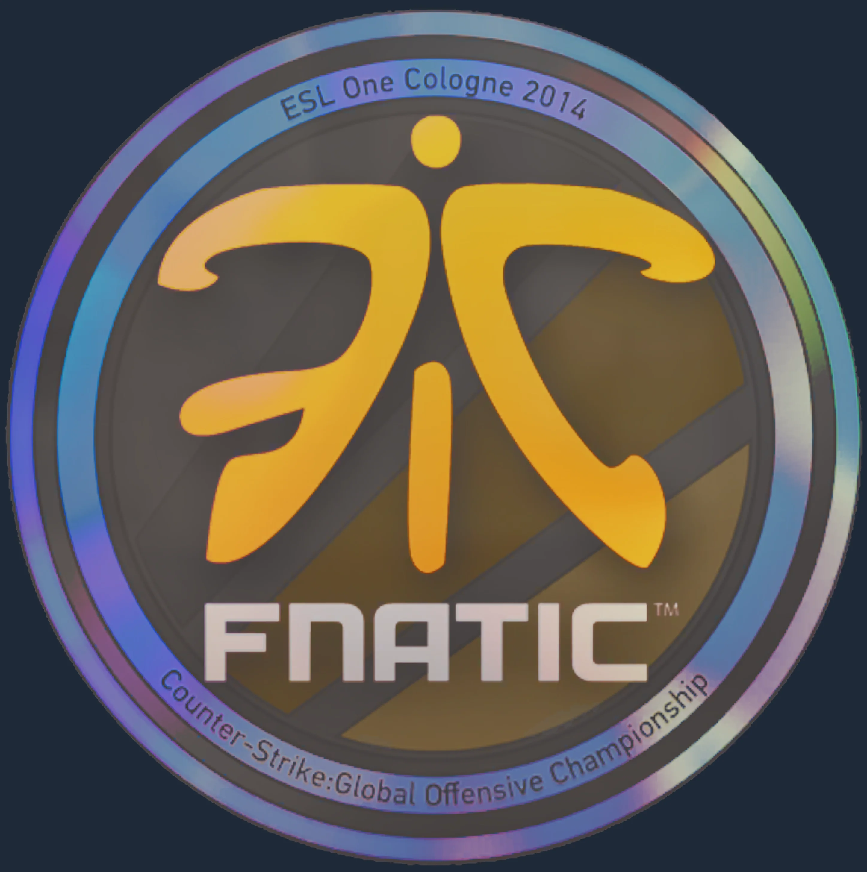 Sticker | Fnatic (Holo) | Cologne 2014 Image