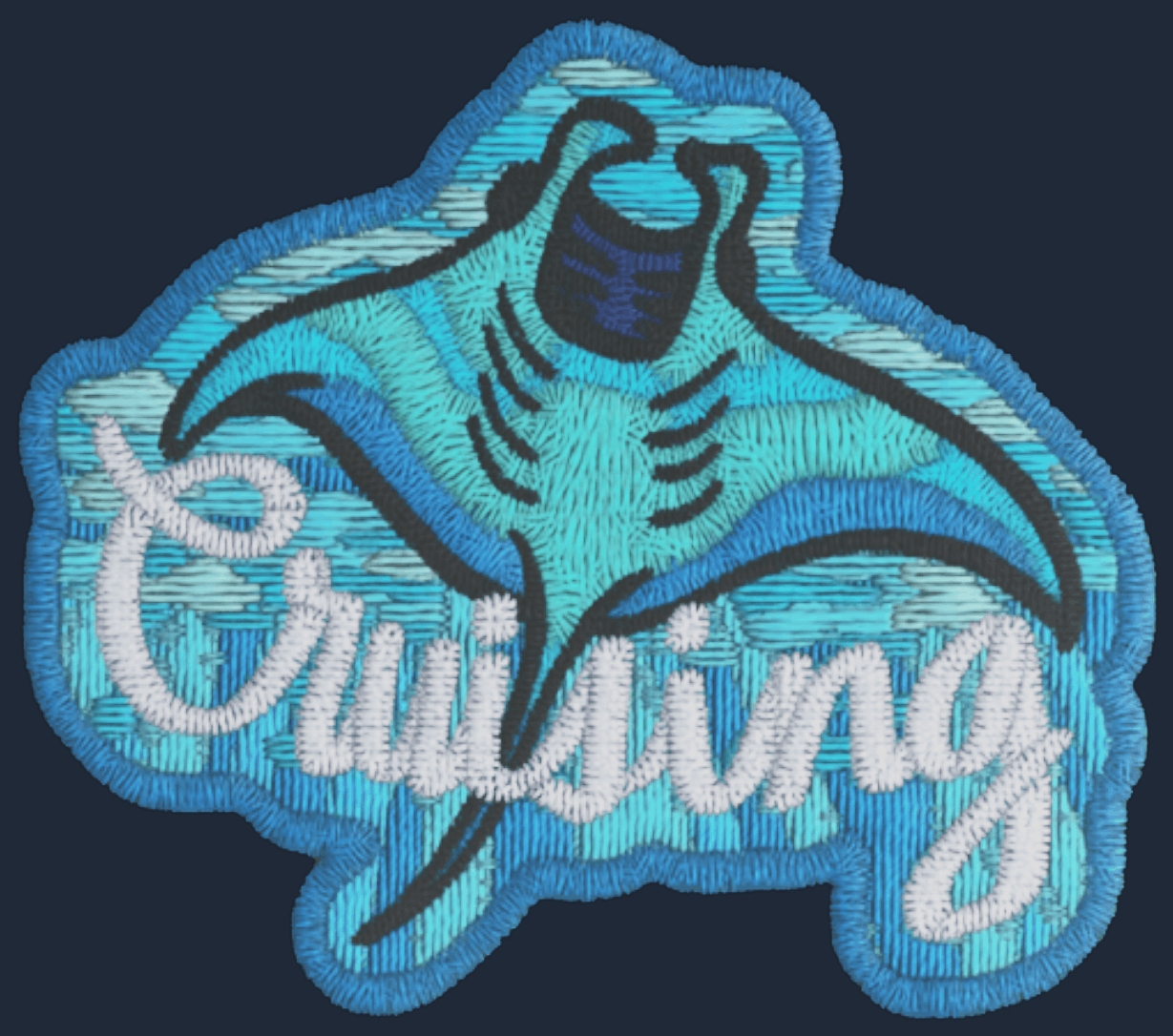 Patch | Cruising Ray Image
