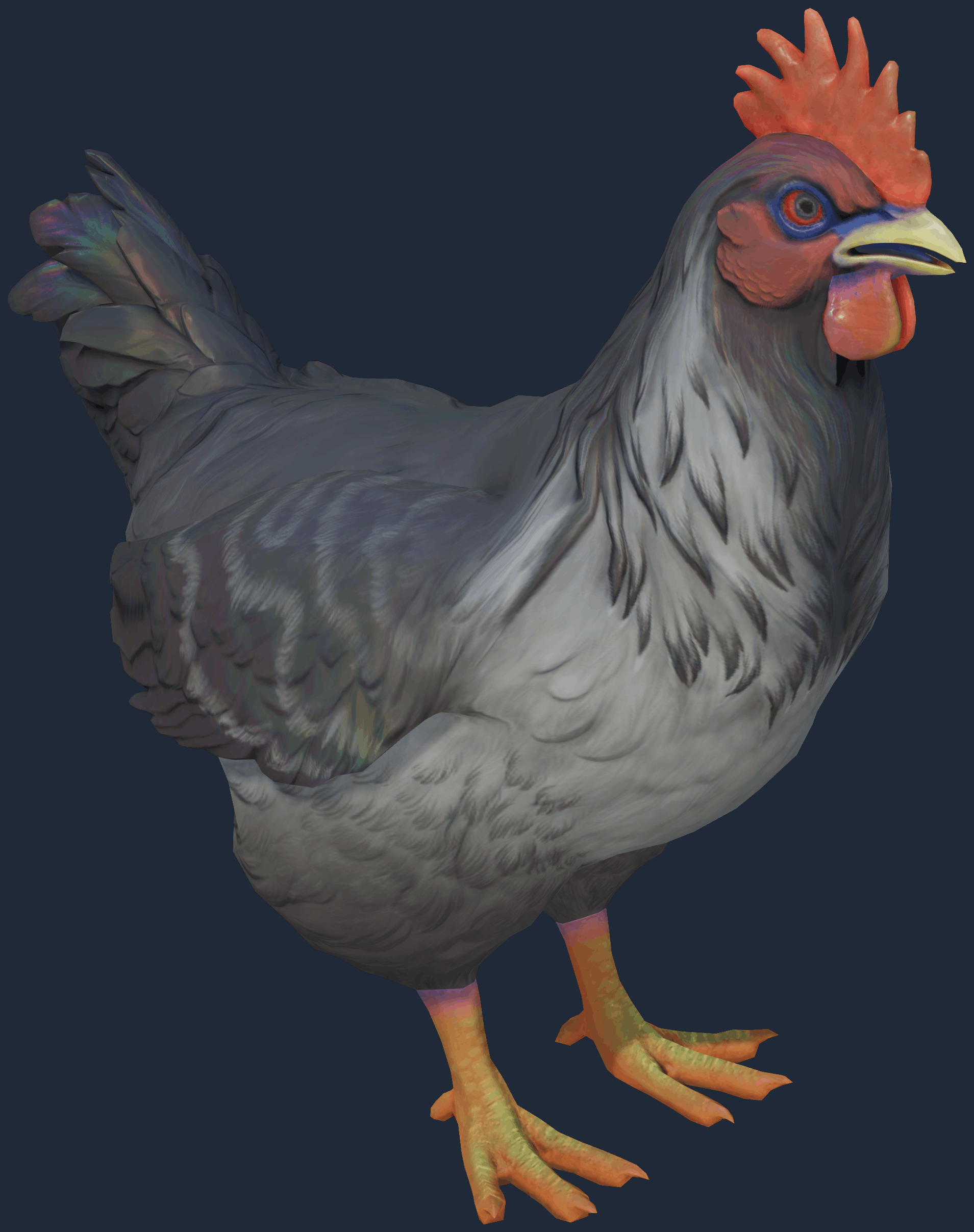 Pet Chicken | Catalana (Grey) Image