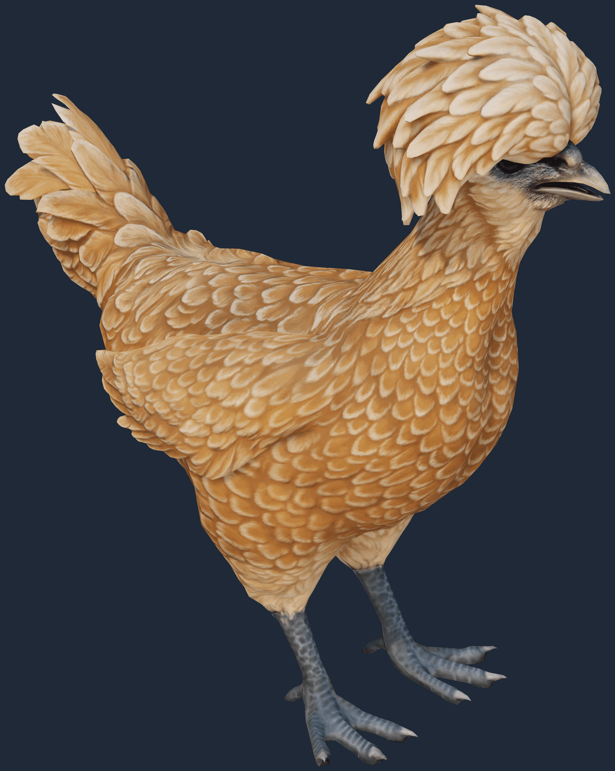 Pet Chicken | Polish (Brown) Image
