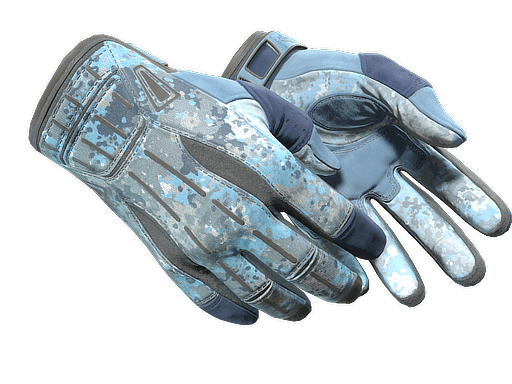 ★ Sport Gloves | Frosty