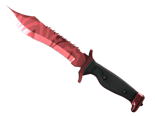 ★ Bowie Knife | Slaughter