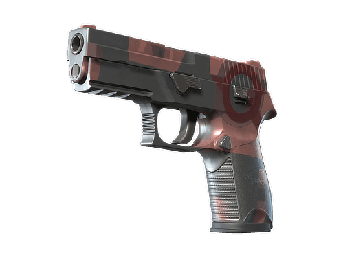 P250 | Constructivist