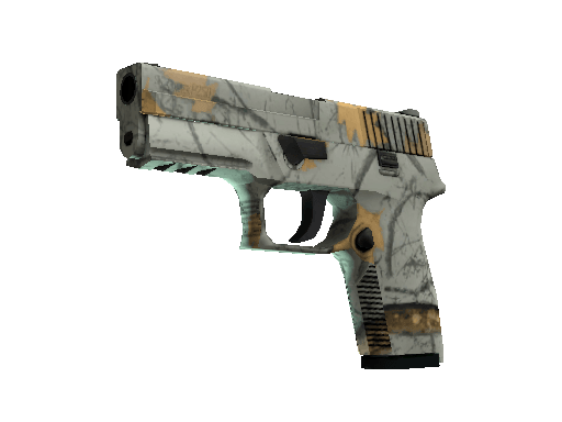 P250 | Modern Hunter