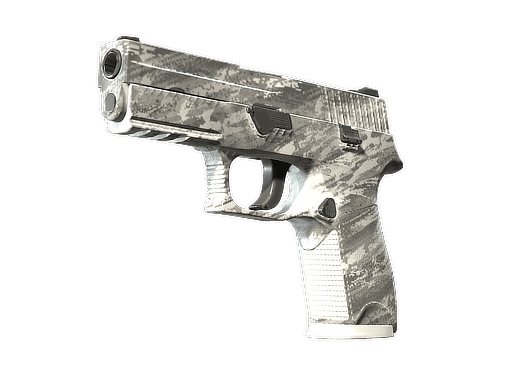 P250 | Sleet
