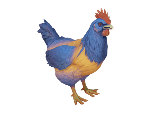 Pet Chicken | Catalana (Orange Blue Neck)
