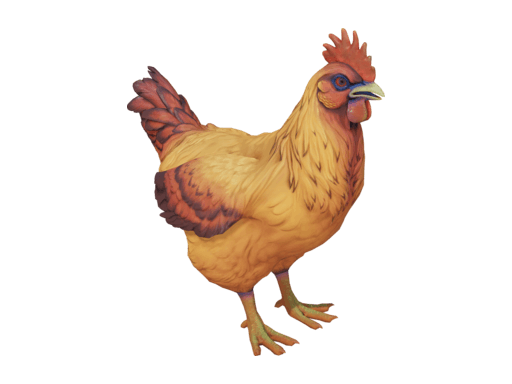 Pet Chicken | Catalana (Dark Orange)