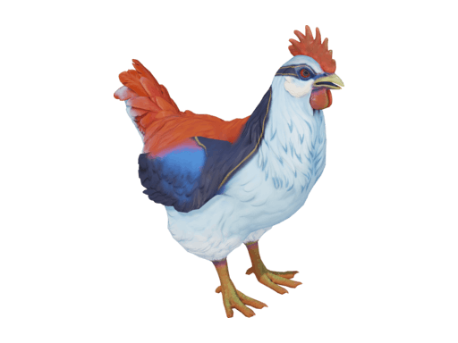 Pet Chicken | Catalana (Light Blue And Red)