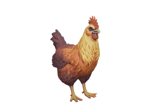 Pet Chicken | Catalana (Yellow Red Gradient)