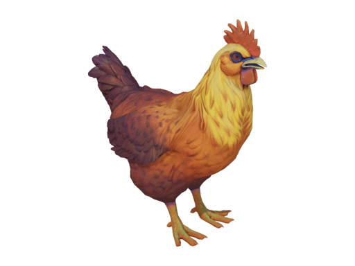 Pet Chicken | Catalana (Yellow Red Gradient)