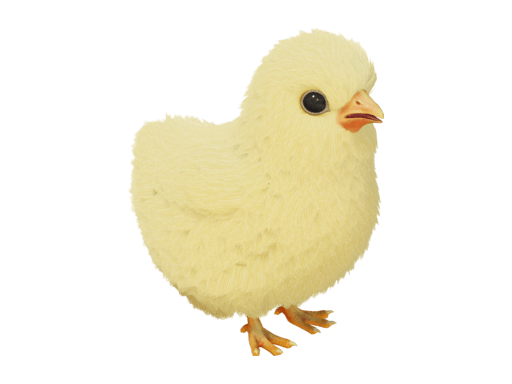 Pet Chick
