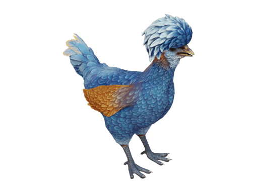 Pet Chicken | Polish (Blue)