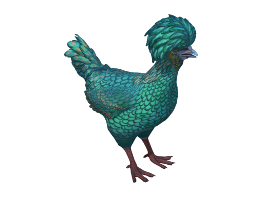 Pet Chicken | Polish (Blue Yellow)