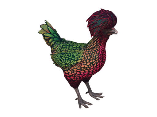 Pet Chicken | Polish (Green With Red Head)