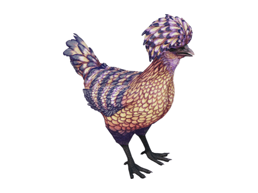 Pet Chicken | Polish (Orange With Black Stripes)