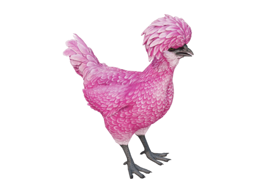 Pet Chicken | Polish (Pink)