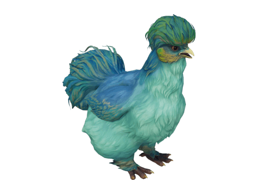 Pet Chicken | Silkie (Aqua With Yellow)