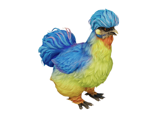 Pet Chicken | Silkie (Blue With Red Beard)