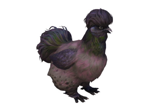 Pet Chicken | Silkie (Purple)