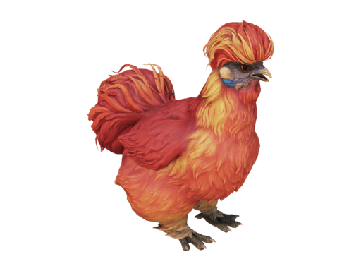 Pet Chicken | Silkie (Red)